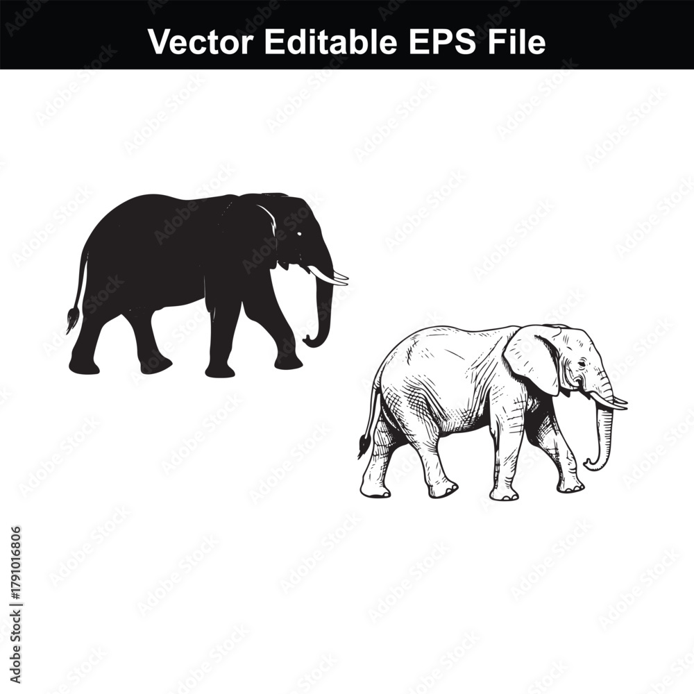 Fototapeta premium Elephant illustrations in silhouette and detailed drawing