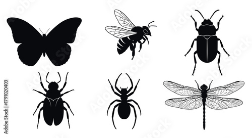 Black silhouette illustrations of various insects, including a butterfly, bee, beetle, fly, spider, and dragonfly, displayed in a simple composition.