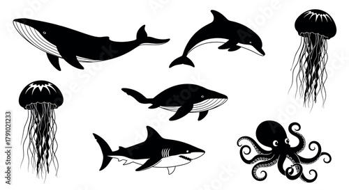 Black silhouette illustrations of various marine animals including whales, a dolphin, a shark, jellyfish, and an octopus on a white background.