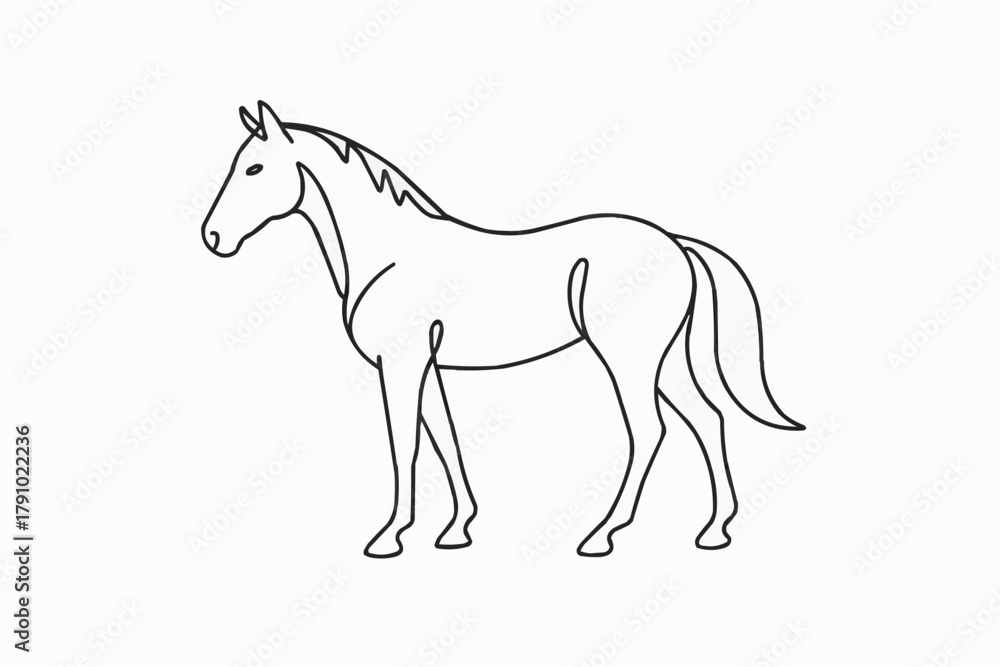 Fototapeta premium Line art of a horse standing in profile view 