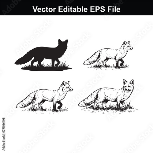 Four different illustrations of a fox in various poses, including a silhouette and detailed drawings, on a