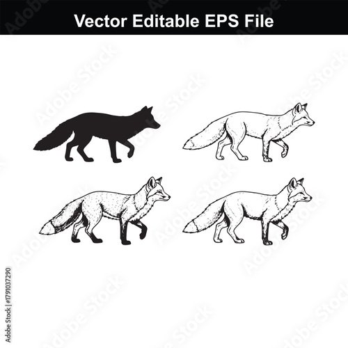 Set of four fox drawings, including a black silhouette and three detailed sketches of foxes in various stances, presented on a