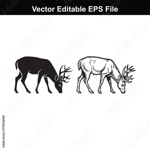 Two deer, one in silhouette and one in sketch style, both grazing with heads down