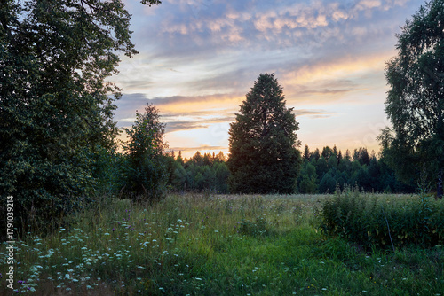 Russia. The village of Poloma. Manturovsky District, Kostroma Oblast. Sunset over the forest.