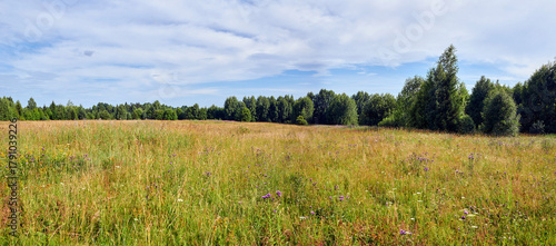 Russia. The village of Poloma. Manturovsky District, Kostroma Oblast. A field beyond the village outskirts.