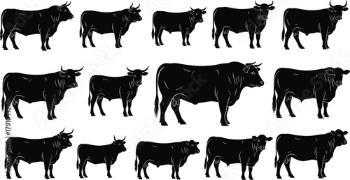 Bull and cow silhouettes collection, farm animal vector illustration, cattle livestock design, agricultural concept, isolated black drawing on white background
