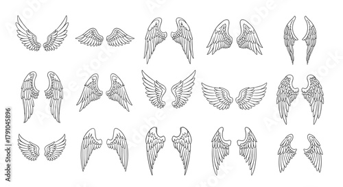 Collection of various angel wing illustrations, each with unique feather patterns and styles, arranged in a row, perfect for fantasy designs