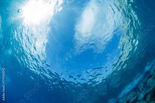 rising from the depths to the surface with the bubbles, the sun, and the clouds in the sky.