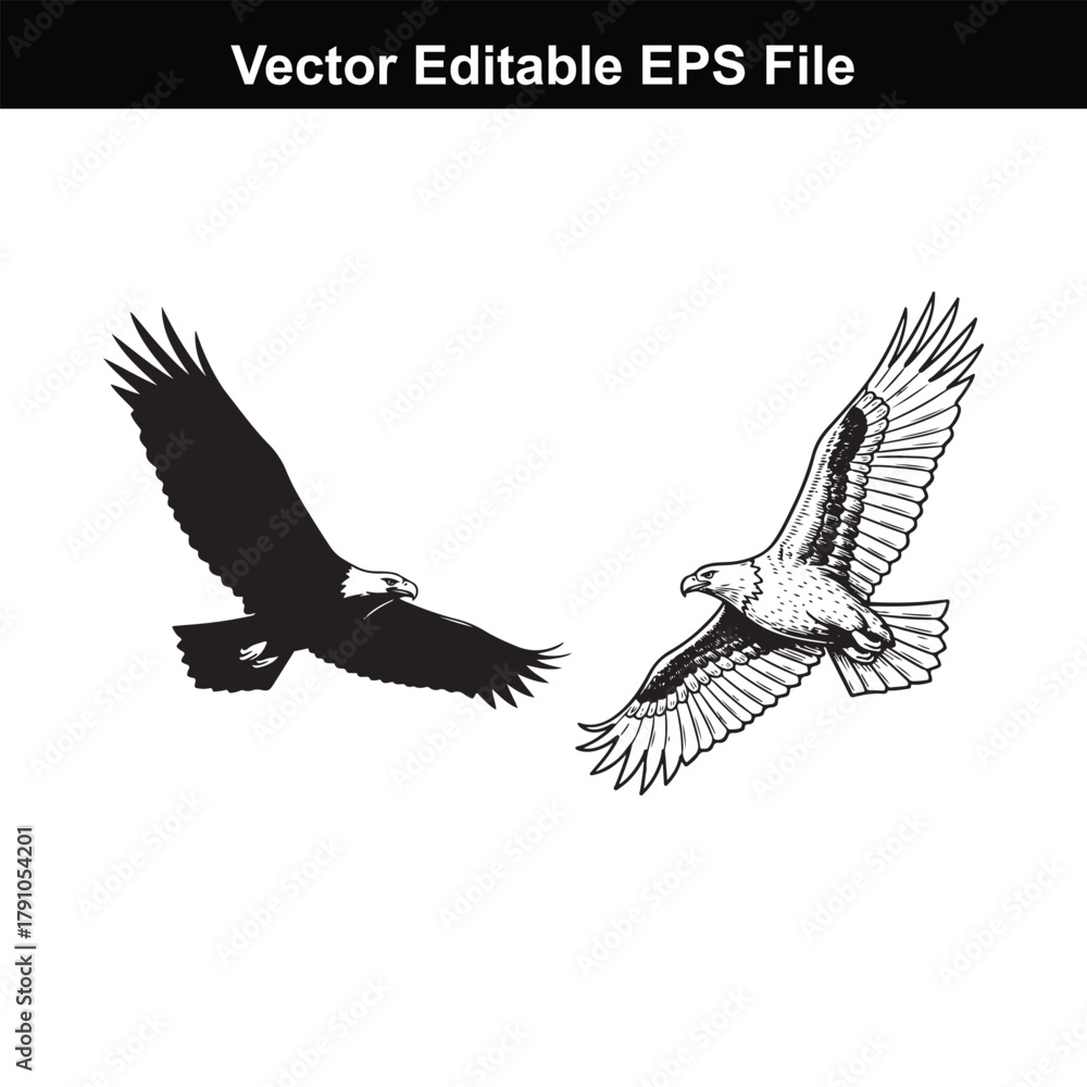 Fototapeta premium Two eagles in flight, one silhouette and one detailed