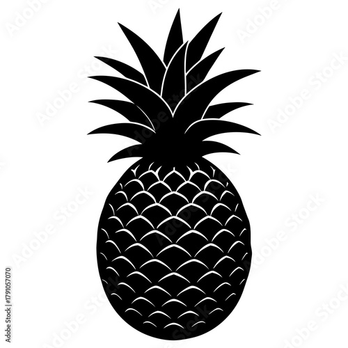 vector illustration of pineapple