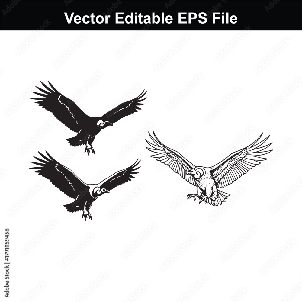 Obraz premium Three vultures in flight, one detailed drawing and two silhouettes, on a