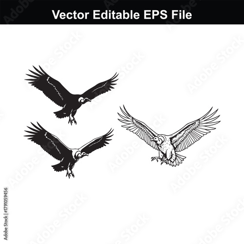 Three vultures in flight, one detailed drawing and two silhouettes, on a