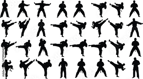 Karate fighter silhouettes practicing martial arts kicks and poses, combat sport training vector illustration, self defense concept, isolated black design background