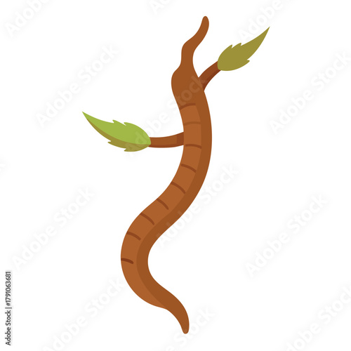 Brown twig with green leaves growing