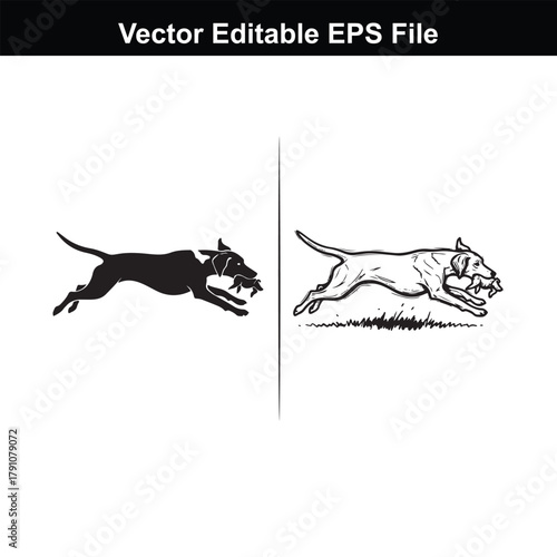 Two dogs running side by side, one black and white, the other a line drawing