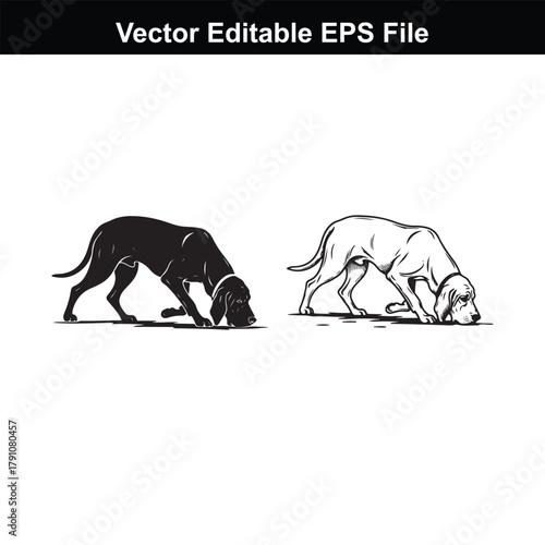 Two black and white beagle dogs sniffing the ground, one in silhouette and one as a line drawing