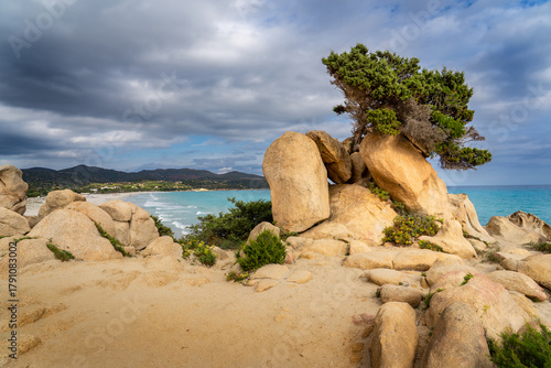 Fototapeta Naklejka Na Ścianę i Meble -  gorgeous Mediterranean Sea and view of Spiaggia di Simius. Small pine tree grows from the rocks. Combination of sunny day and approaching dark clouds. Sardinia and Europe's most beautiful beaches