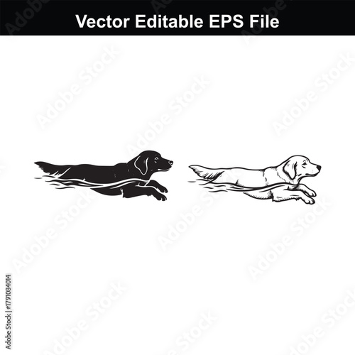 Two dogs swimming, one black silhouette and one line drawing