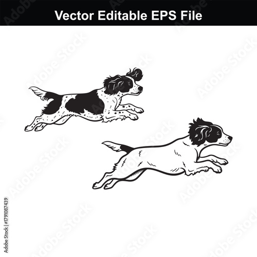 Two dogs running, one black and white spotted, the other solid black