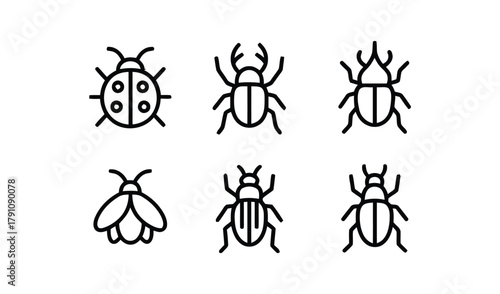insect, icon, beetle, ladybug, fly, outline, simple, vector, drawing, animal, nature, wildlife, graphic, design, element, illustration, set, collection, minimal, clean, white background, isolated, ins