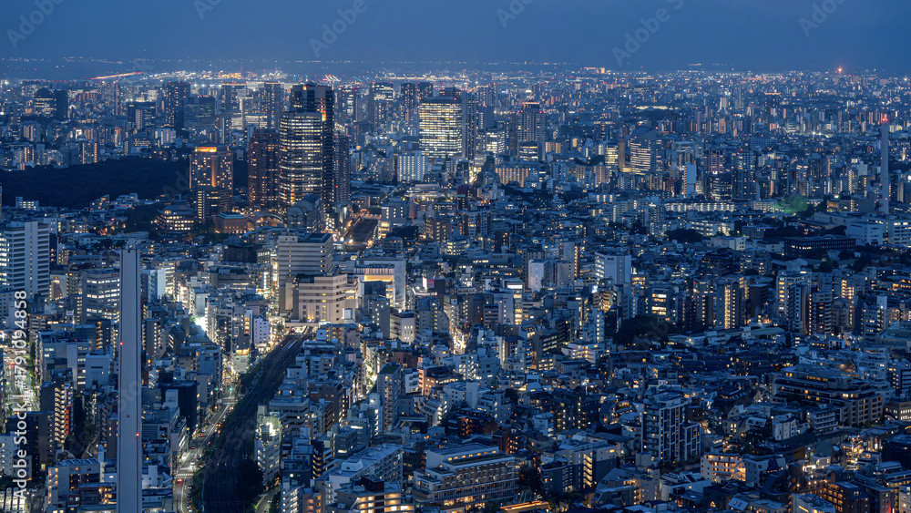 Obraz premium Tokyo Cityscape at Dusk with Illuminated Skyscrapers and Blue Horizon