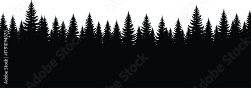 Silhouette of pine forest landscape with evergreen trees, natural woodland scene vector illustration for outdoor nature and environment design