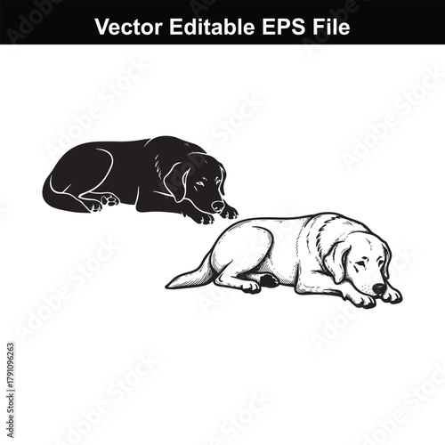 Two labrador retriever dogs lying down, one black silhouette and one in sketch style
