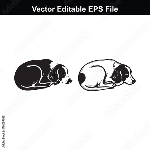 Two sleeping dogs, one black and white, the other a detailed illustration