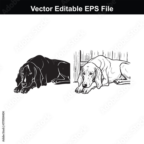 Two beagle dogs lying down, one in black and white silhouette and the other in a detailed sketch, with a wooden fence in the background