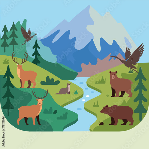 wild animals in the forest