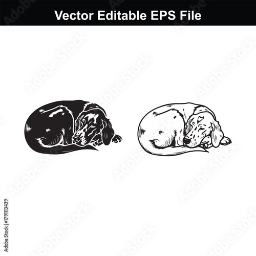 Black and white illustration of a dog sleeping