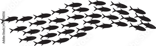 fish silhouette school in curved formation graphic illustration