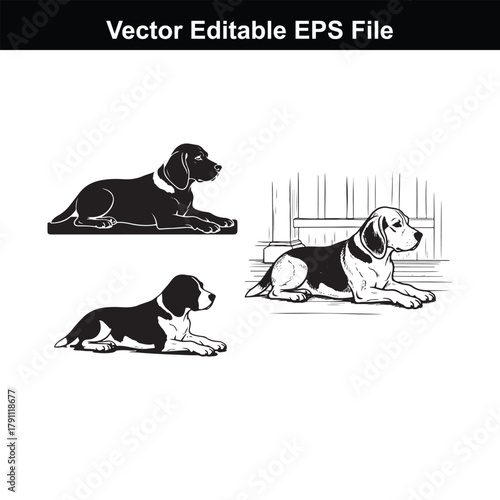 Three beagle dogs lying down in a vector illustration, one black and tan, two black and white, with a sketch of a fence in the background