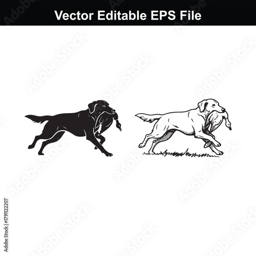 Two labrador retriever dogs running with a duck in their mouth, one black silhouette and one white outline on grass, vector editable eps file