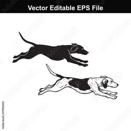 Two dogs running, one solid black and the other a mix of black and white