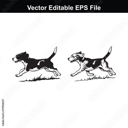 Two beagle dogs in midstride, running across a field with grass, presented as a dynamic black and white illustration