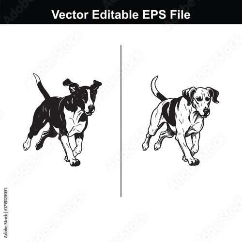 Two beagle dogs running in a field, black and white vector illustration