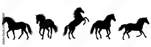 Collection of horse silhouettes in rearing, galloping, and walking poses isolated on white background. Black vector equine outline shape for 2026 Year of the Horse. Zodiac graphics, logo, print design