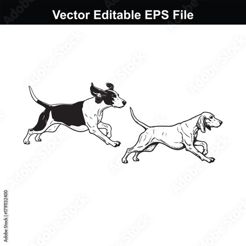 Two dogs running side by side, one black and white, the other light colored