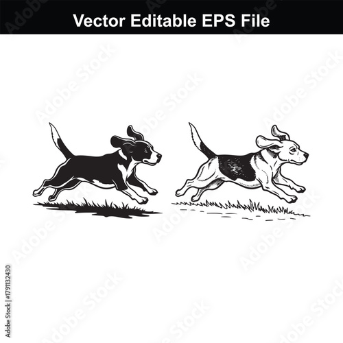 Two beagle dogs running in a field, black and white vector illustration