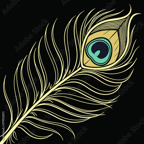 Detailed peacock feather eye pattern on black background