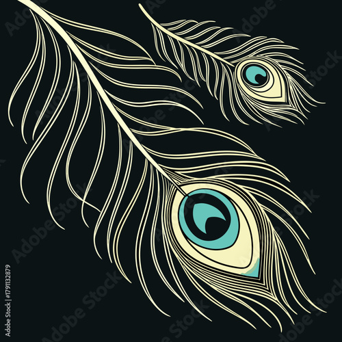 Detailed peacock feather eye pattern on black background