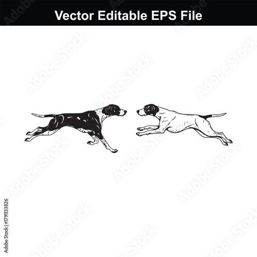Two pointer dogs running side by side, one in black and white silhouette and the other as a detailed outline