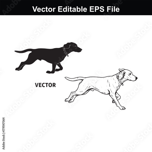 Two dogs running, one black silhouette and one white outline