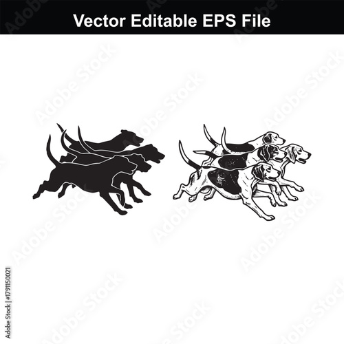 A pack of dogs running together on a