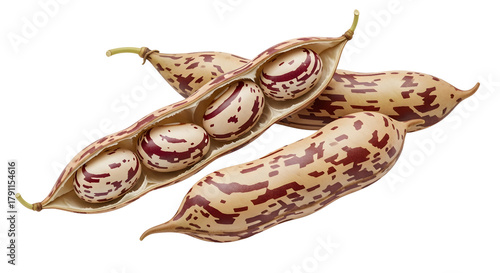 Cranberry Beans in Pods Isolated on White Background