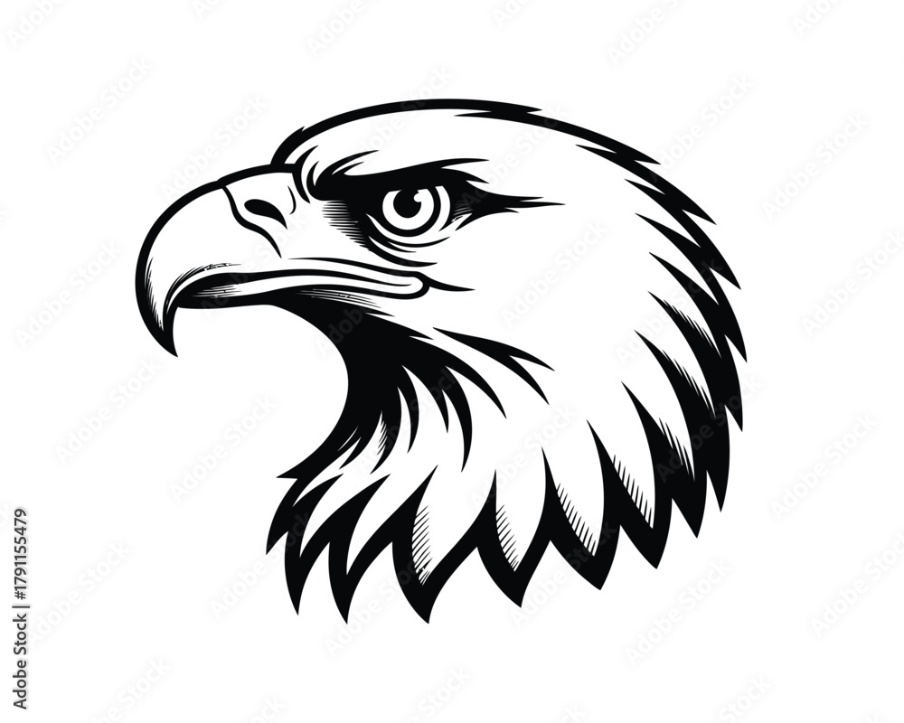 Obraz premium Graphic stylized bald eagle head vector illustration symbol design