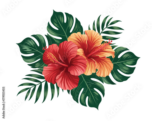 Tropical red and orange hibiscus flowers and green foliage.
