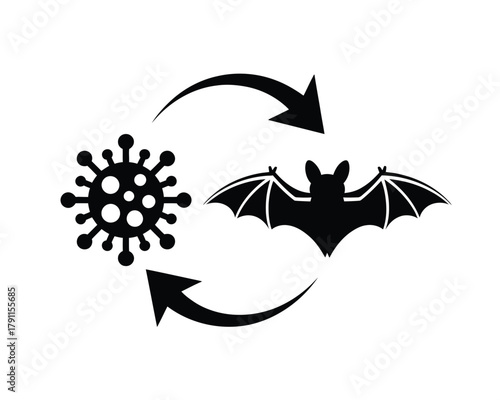 Zoonotic disease transmission cycle represented by bat and virus