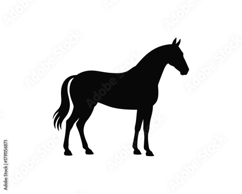 Standing horse silhouette, majestic equine animal profile vector